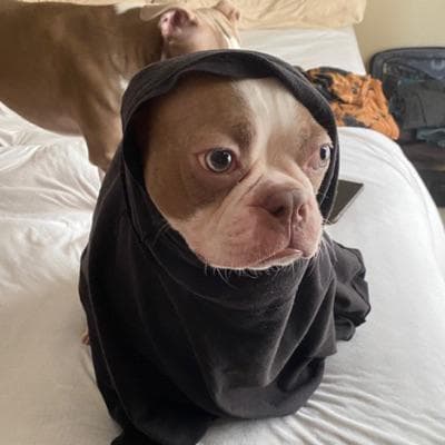 Buns (slightly buttered) avatar